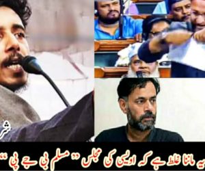 یوگیندر یادو کا یہ ماننا غلط ہے کہ اویسی کی مجلس ” مسلم بی جے پی “ بن جائے گی