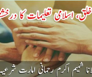 خدمت خلق، اسلامی تعلیمات کا درخشندہ باب