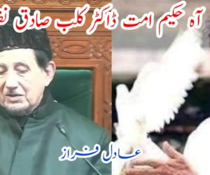 آہ حکیم امت ڈاکٹر کلب صادق نقوی ۔۔۔