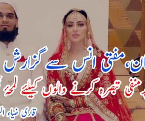 ثناء خان ، مفتی انس سے گزارش اور ان پرمنفی تبصرہ کرنے والوں  کیلئے لمحۂ فکریہ
