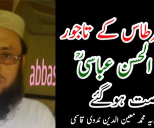 قلم و قرطاس کے تاجور ابن الحسن عباسیؒ رخصت ہوگئے