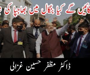 باغی لگائیں گے کیا بنگال میں بھاجپا کی نیا پار؟