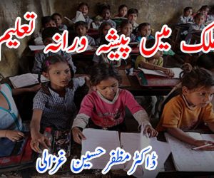 ملک میں پیشہ ورانہ تعلیم