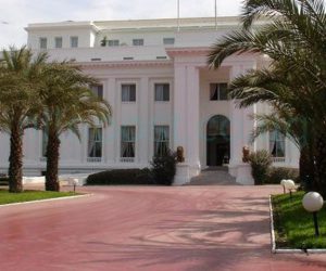 صومالیہ میں صدارتی محل پر خود کش حملہ