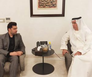 یو اے ای کے خلائی مشن نے مریخ کی سطح کی پہلی تصویر بھیجیں