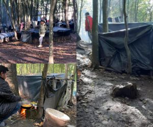 بوسنیا کی خاتون جنگل میں پھنسے مہاجرین کی کیسے مدد کر رہی ہے؟