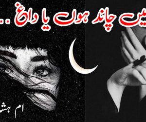 میں چاند ہوں یا داغ ….!