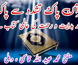 قرآن پاک تشدد سے پاک اور ہدایت و رحمت کی عالمی کتاب ہے