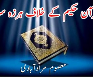 قرآن حکیم کے خلاف ہرزہ سرائی
