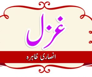 حیرت ہے ان گناہوں پہ نادم کوئی نہیں