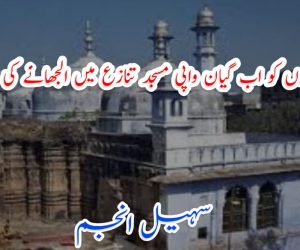 کیا مسلمانوں کو اب گیان واپی مسجد تنازع میں الجھانے کی تیاری ہے؟