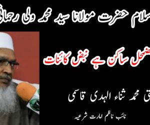 مفکر اسلام حضرت مولانا سید محمد ولی رحمانی ؒ: ذرہ ذرہ مضمحل ساکن ہے نبض کائنات