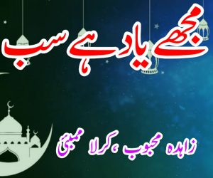 مجھے یاد ہے سب