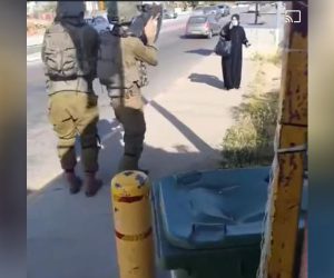 اسرائیلی فوجیوں کی جارحیت جاری، ایک نہتی فلسطینی خاتون کو گولیاں مار کر شہید کردیا