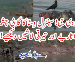 مودی جی! سینٹرل وِسٹا کا گلابی چشمہ اتاریے اور تیرتی لاشیں دیکھیے!