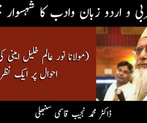 آہ! عربی و اردو زبان وادب کا شہسوار چل بسا