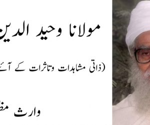 مولانا وحید الدین خاںؒ (ذاتی مشاہدات وتاثرات کے آئنے میں) (۲)