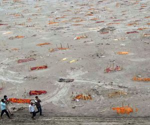 گنگا کے گھاٹوں پر دفن لاشوں سے متعلق عرضی الہ آباد ہائی کورٹ سے خارج، عرضی گزار کو تحقیق کرنے کی صلاح