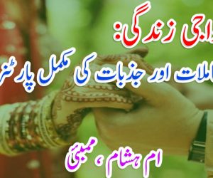 ازدواجی زندگی: معاملات اور جذبات کی مکمل پارٹنر شپ