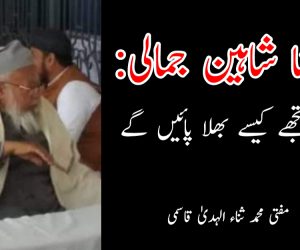 مولانا شاہین جمالی: لوگ تجھے کیسے بھلا پائیں گے