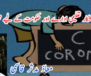 تعطل کے شکار تعلیمی ادارے اور حکومت کے لیے ترجیحی کام