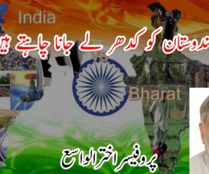 ہم ہندوستان کو کدھر لے جانا چاہتے ہیں؟