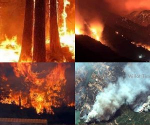 جنوبی ترکی کے جنگلات میں زبردست آتشزدگی، کنٹرول کرنے کی ہنگامی طور پر کوششیں جاری