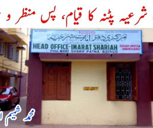 امارت شرعیہ پٹنہ کا قیام، پس منظر و حقائق