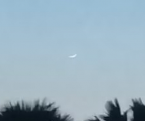 ذی الحجہ کا چاند نظر آیا، ہندوستان میں عیدالاضحیٰ 21 جولائی کو