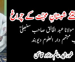 بجھ گئے کتنے شبستانِ محبّت کے چراغ