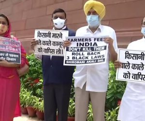 زرعی قوانین کے خلاف کانگریس، اکالی دل اور بی ایس پی کا پارلیمنٹ کے باہر احتجاج 