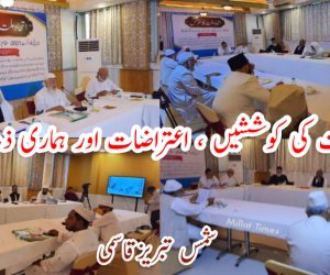 اتحاد امت کی کوششیں ، اعتراضات اور ہماری ذمہ داریاں