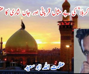 شہدائے کربلا ؓ کی بے مثال قربانی اور جاں نثاری کا عظیم مظہر