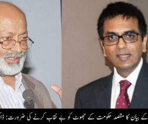 جسٹس چندر چوڑ کے بیان کا مقصد حکومت کے جھوٹ کو بے نقاب کرنے کی ضرورت: ڈاکٹر محمد منظور عالم