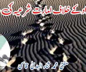 فتنۂ ارتداد کے خلاف امارت شرعیہ کی جد وجہد