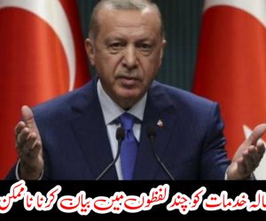 ہماری 19 سالہ خدمات کو چند لفظوں میں بیان کرنا ناممکن : ترک صدر