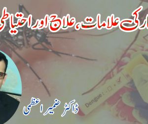 ڈینگو بخار کی علامات، علاج اور احتیاطی تدابیر