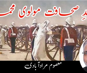 شہید ِصحافت مولوی محمد باقر