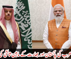 سعودی عرب کی پاکستان اور بھارت کے مابین ثالثی کی پیشکش