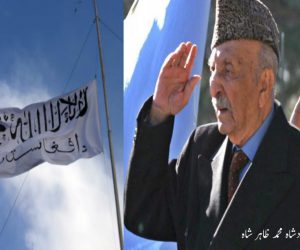 طالبان کا ظاہر شاہ دور کا آئین عارضی طور پر اپنانے کا اعلان