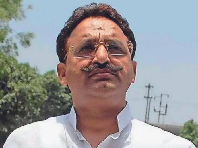 image_search_1672716551462