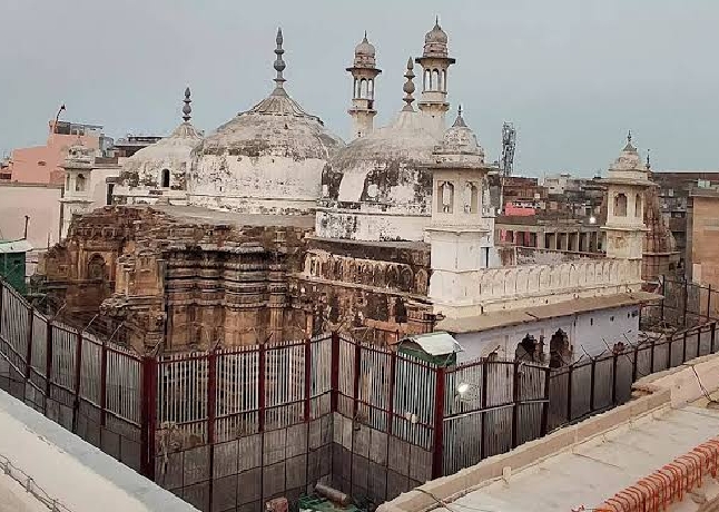 image_search_1708933147793