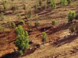 انسانیت اور بھائی چارے کی شاندار مثال: بیٹے کی یاد میں جناردن سنگھ نے قبرستان کے لیے اپنی زمین عطیہ کر دی