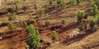 انسانیت اور بھائی چارے کی شاندار مثال: بیٹے کی یاد میں جناردن سنگھ نے قبرستان کے لیے اپنی زمین عطیہ کر دی