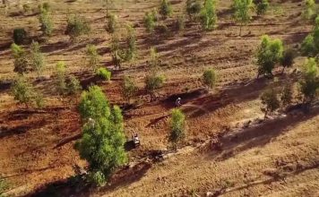 انسانیت اور بھائی چارے کی شاندار مثال: بیٹے کی یاد میں جناردن سنگھ نے قبرستان کے لیے اپنی زمین عطیہ کر دی