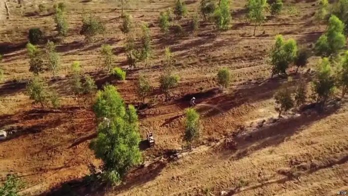 n69289820417656209855828f6adab6f6a1c270d6cac9e7a967e49cec285fc83d60f1c89286f1a7f1ce3457